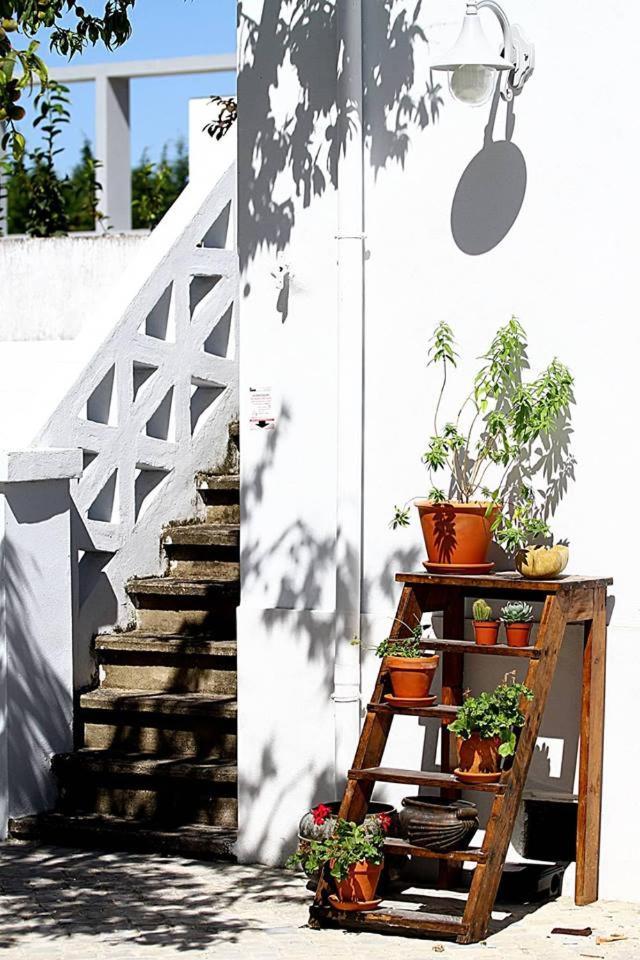 Oryza Guest House& Suites Coimbra Exterior foto